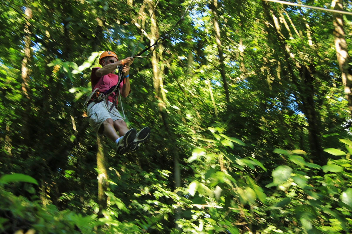 Vista Arenal Adventure Park facilities nestled in lush Costa Rican rainforest near La Fortuna