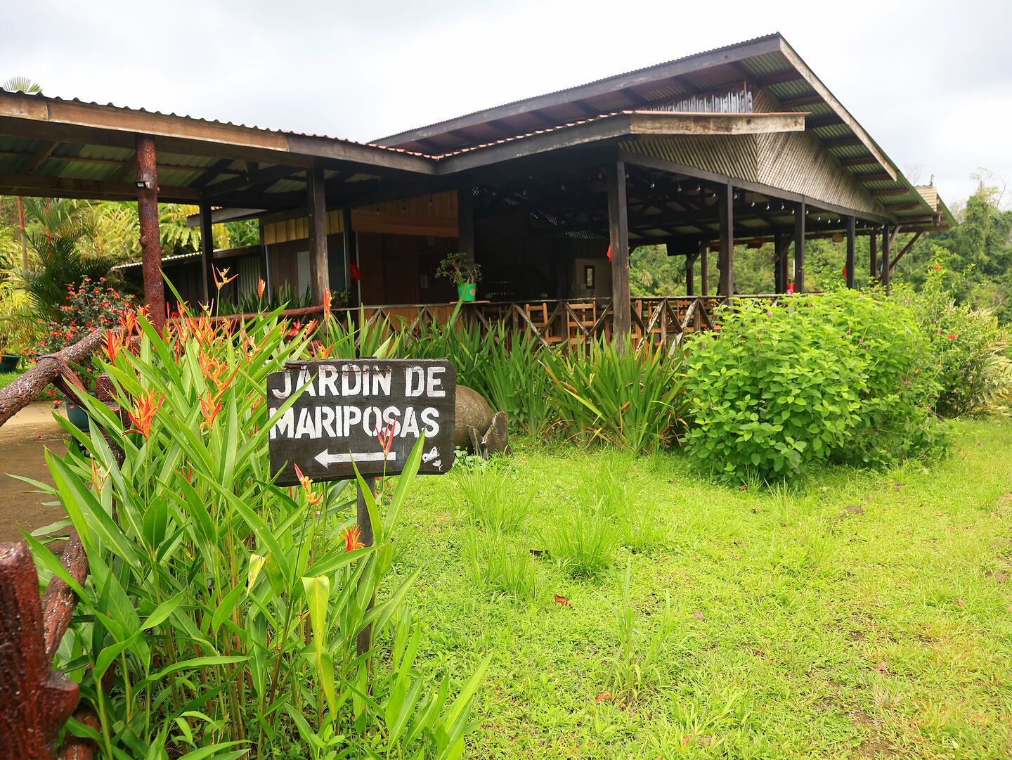 Scenic view from zipline platform